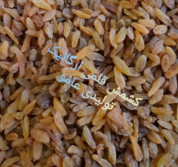 کشمش قلمی ارگانیک 